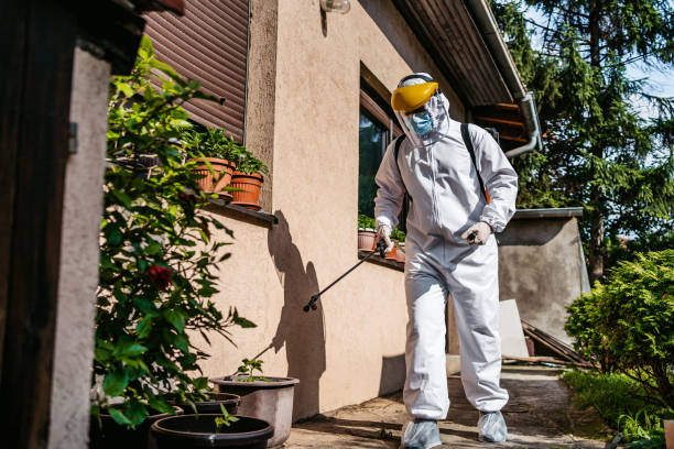 Wildlife Control Services in Kemp, TX
